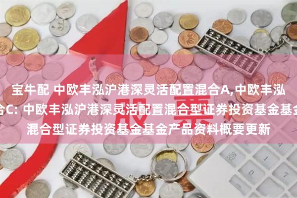 宝牛配 中欧丰泓沪港深灵活配置混合A,中欧丰泓沪港深灵活配置混合C: 中欧丰泓沪港深灵活配置混合型证券投资基金基金产品资料概要更新