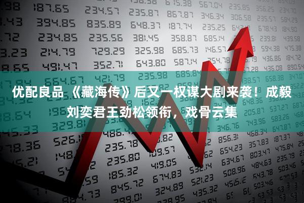 优配良品 《藏海传》后又一权谋大剧来袭！成毅刘奕君王劲松领衔，戏骨云集