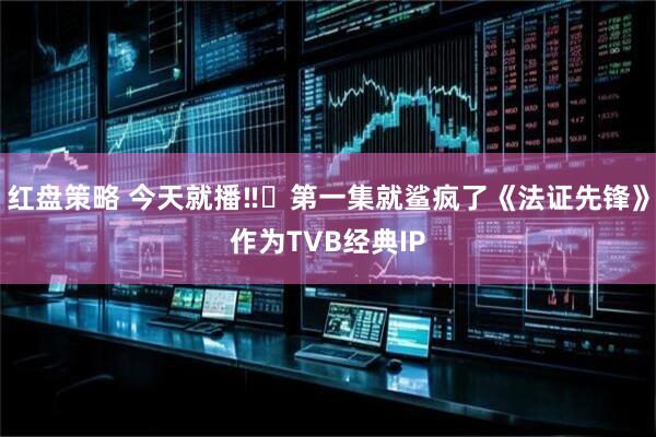 红盘策略 今天就播‼️第一集就鲨疯了《法证先锋》作为TVB经典IP