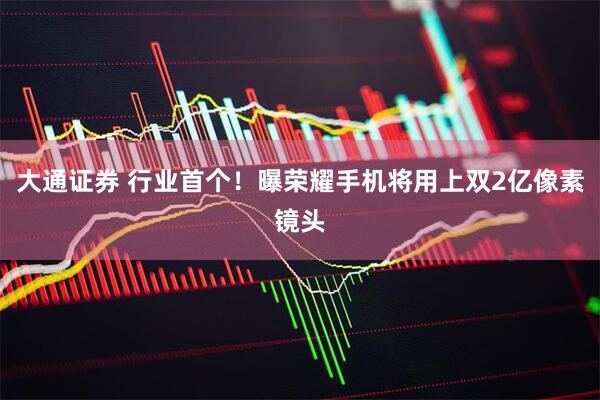 大通证券 行业首个！曝荣耀手机将用上双2亿像素镜头