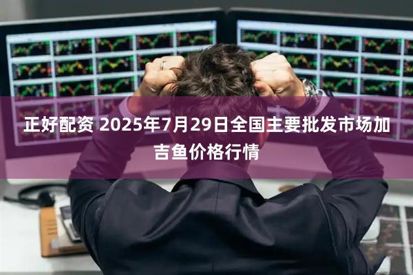 正好配资 2025年7月29日全国主要批发市场加吉鱼价格行情