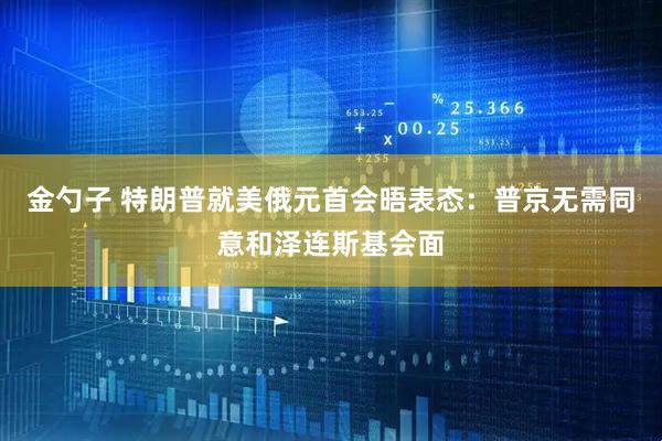 金勺子 特朗普就美俄元首会晤表态：普京无需同意和泽连斯基会面