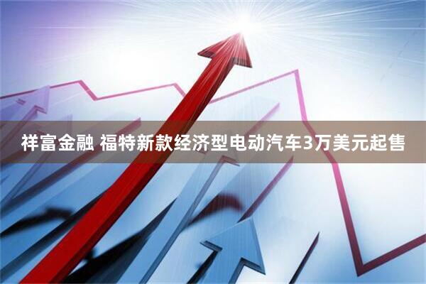 祥富金融 福特新款经济型电动汽车3万美元起售