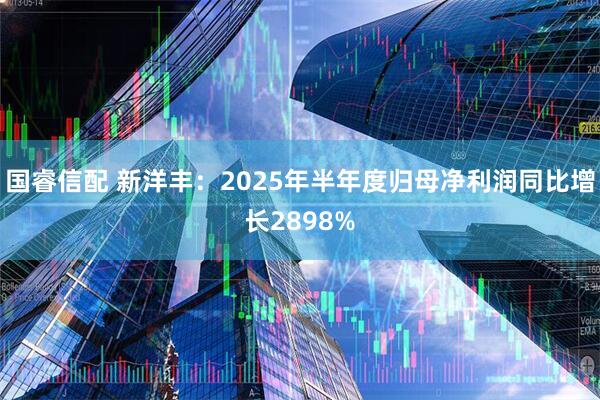 国睿信配 新洋丰:2025年半年度归母净利润同比增长2898%